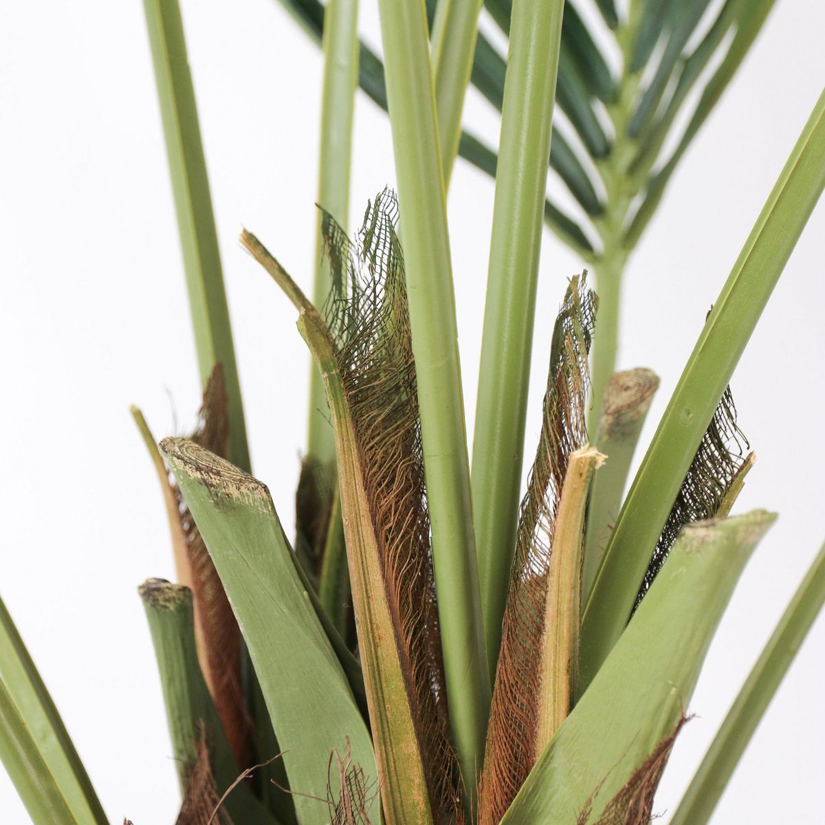 PLANT IN A BOX Kentia artificiel - Hauteur 150cm