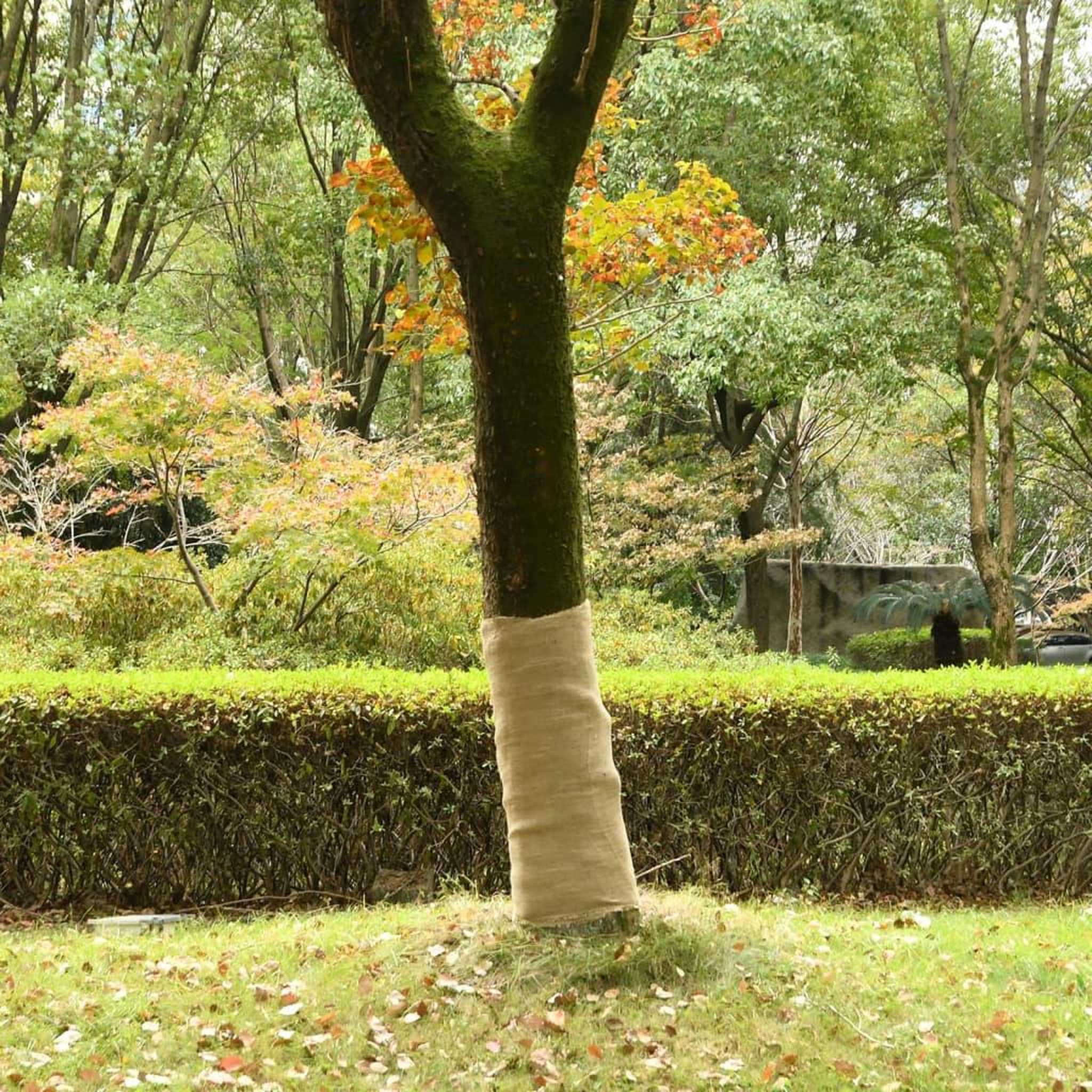 VIDAXL Rouleau de jute 1x5 m 100 % jute 200 g/m²