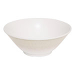 SECRET DE GOURMET Saladier en Mélamine  Solène  25cm Beige