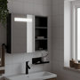 Voir la diapositive 1 : VIDAXL Armoire de salle de bain a miroir avec LED noir 60x13x52 cm