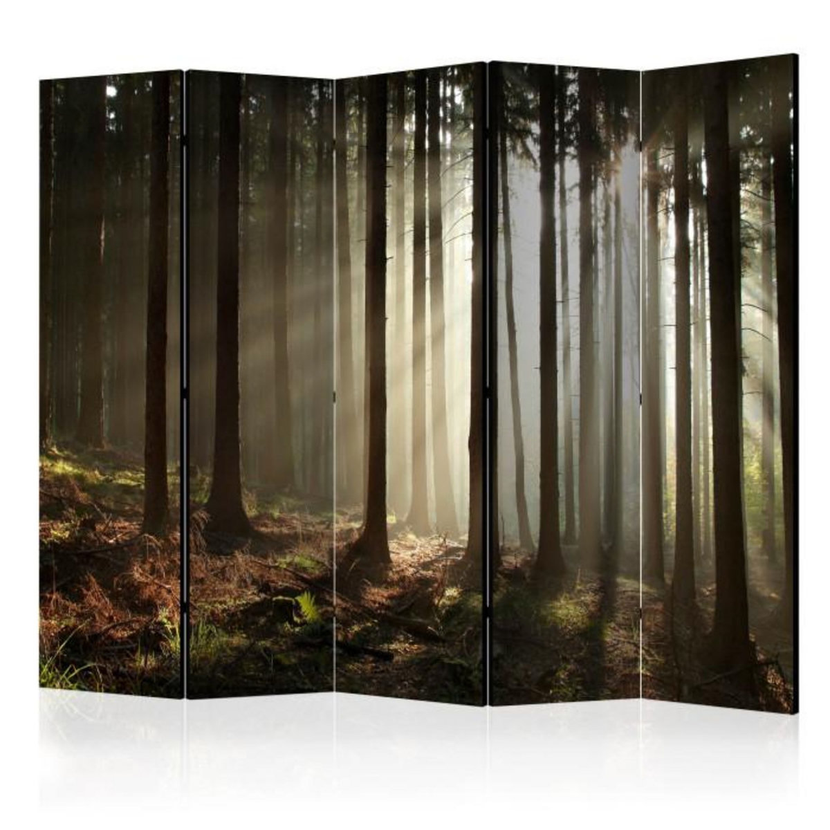 Paris Prix Paravent 5 Volets  Coniferous Forest II  172x225cm