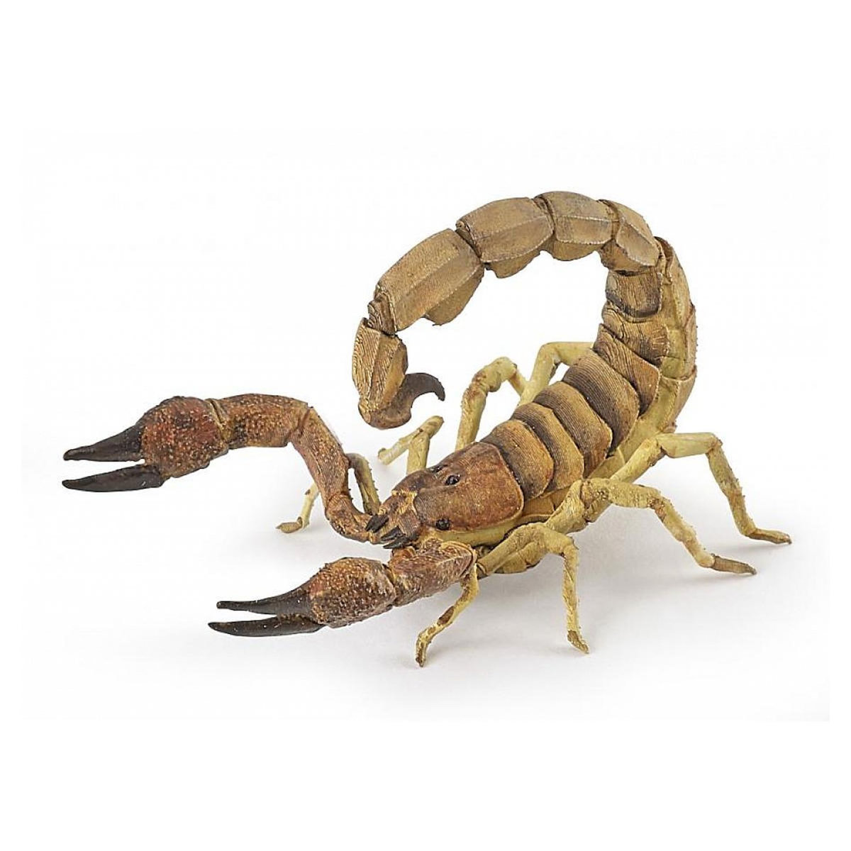 Papo 50209 - Insectes - Scorpion