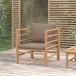 VIDAXL Canape de jardin avec coussins taupe bambou