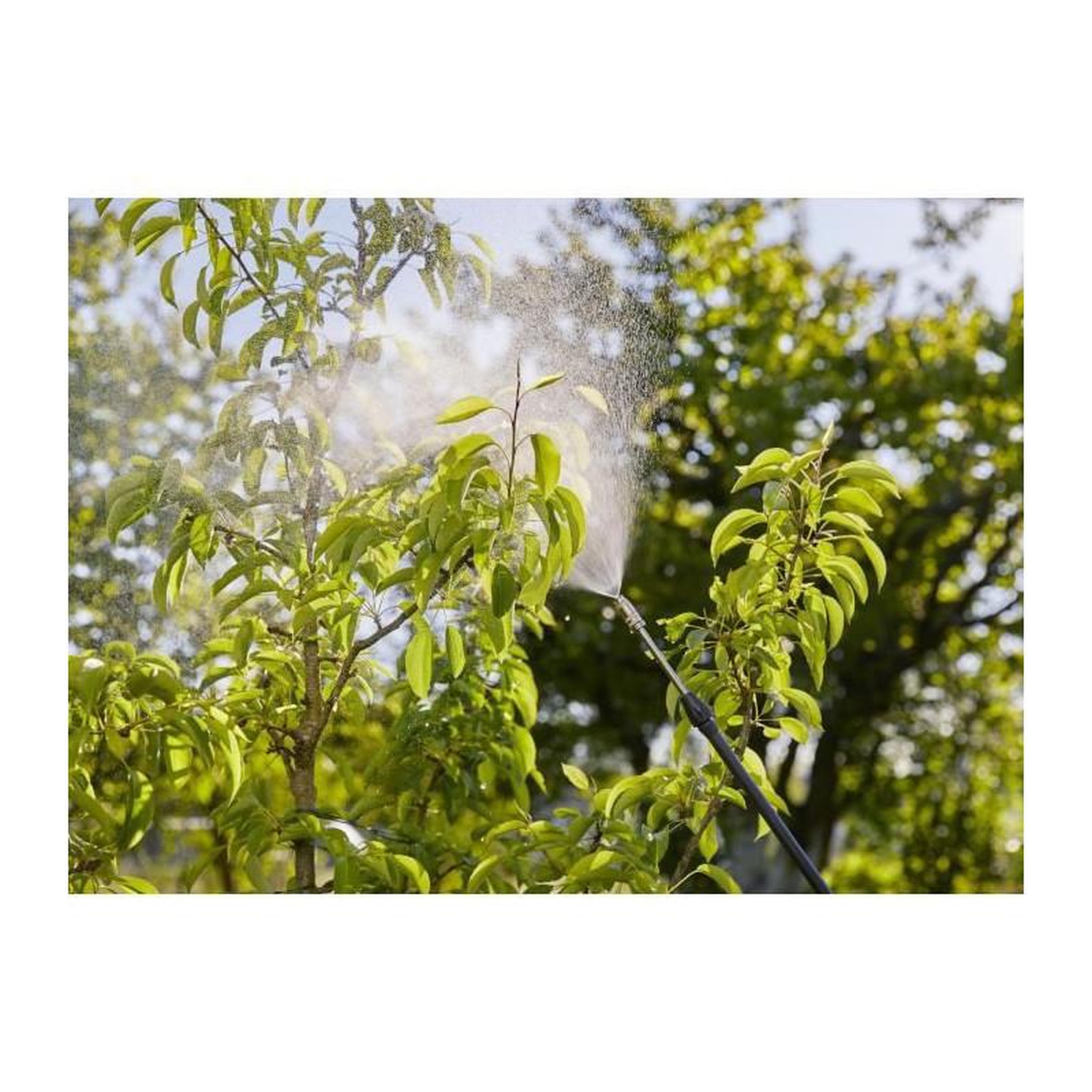 Voir la diapositive 4 : Gardena GARDENA Pulverisateur a dos - Capacite 12L - Tuyau 125cm - Forme ergonomique + bretelle de portage - Lance telescopique - 11140-