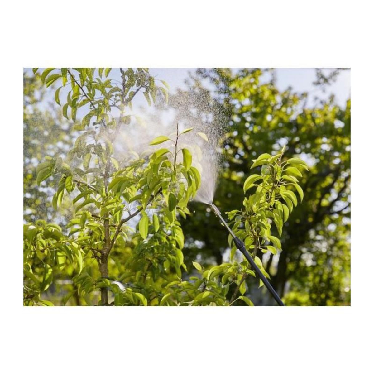 Gardena Pulvérisateur à dos 12L