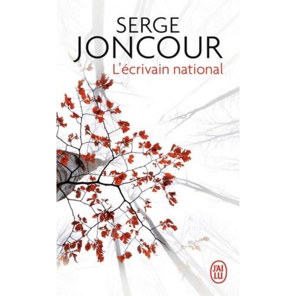 L'ECRIVAIN NATIONAL, Joncour Serge