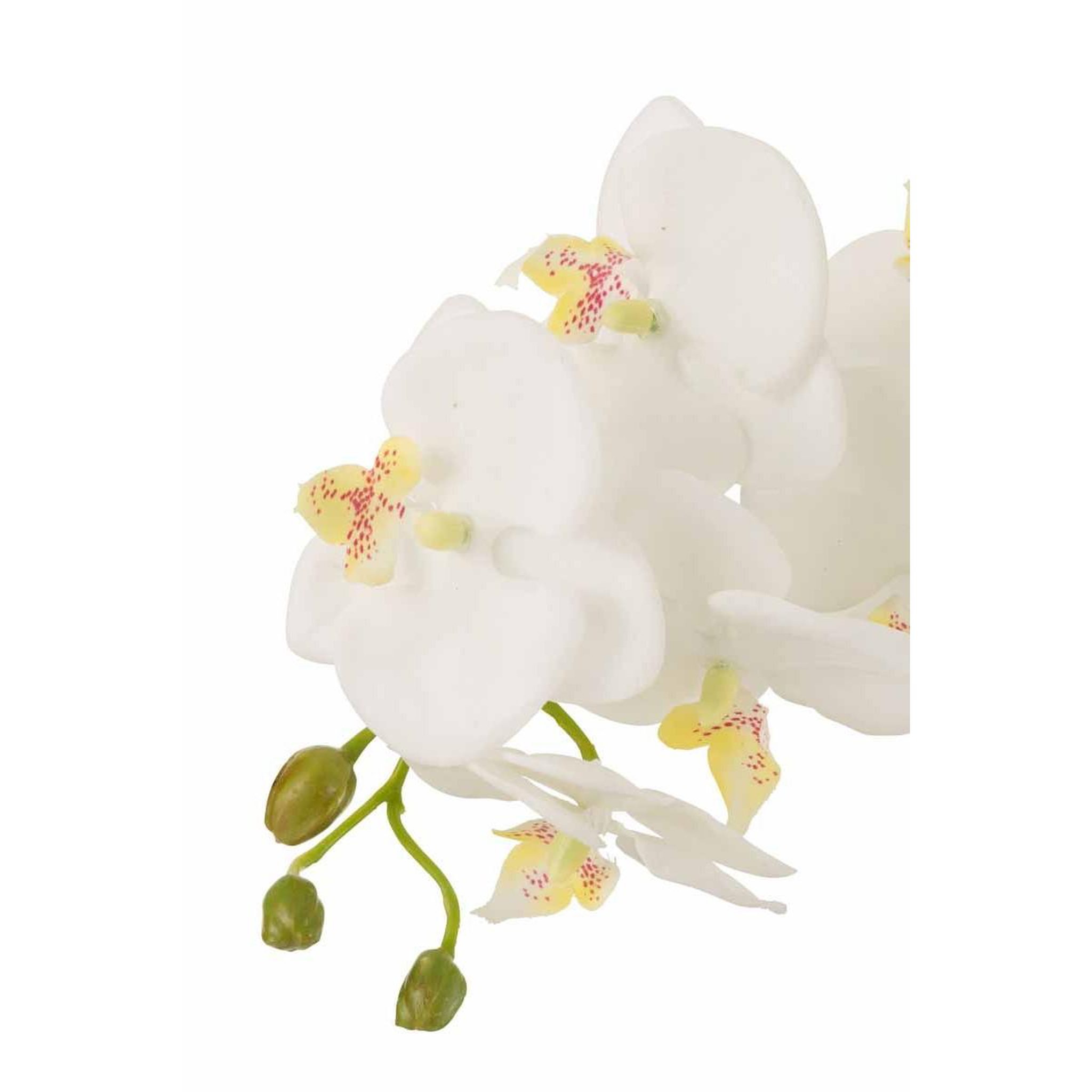 Voir la diapositive 2 : J-LINE Fleur Artificielle Déco  Orchidée en Terre  72cm Blanc