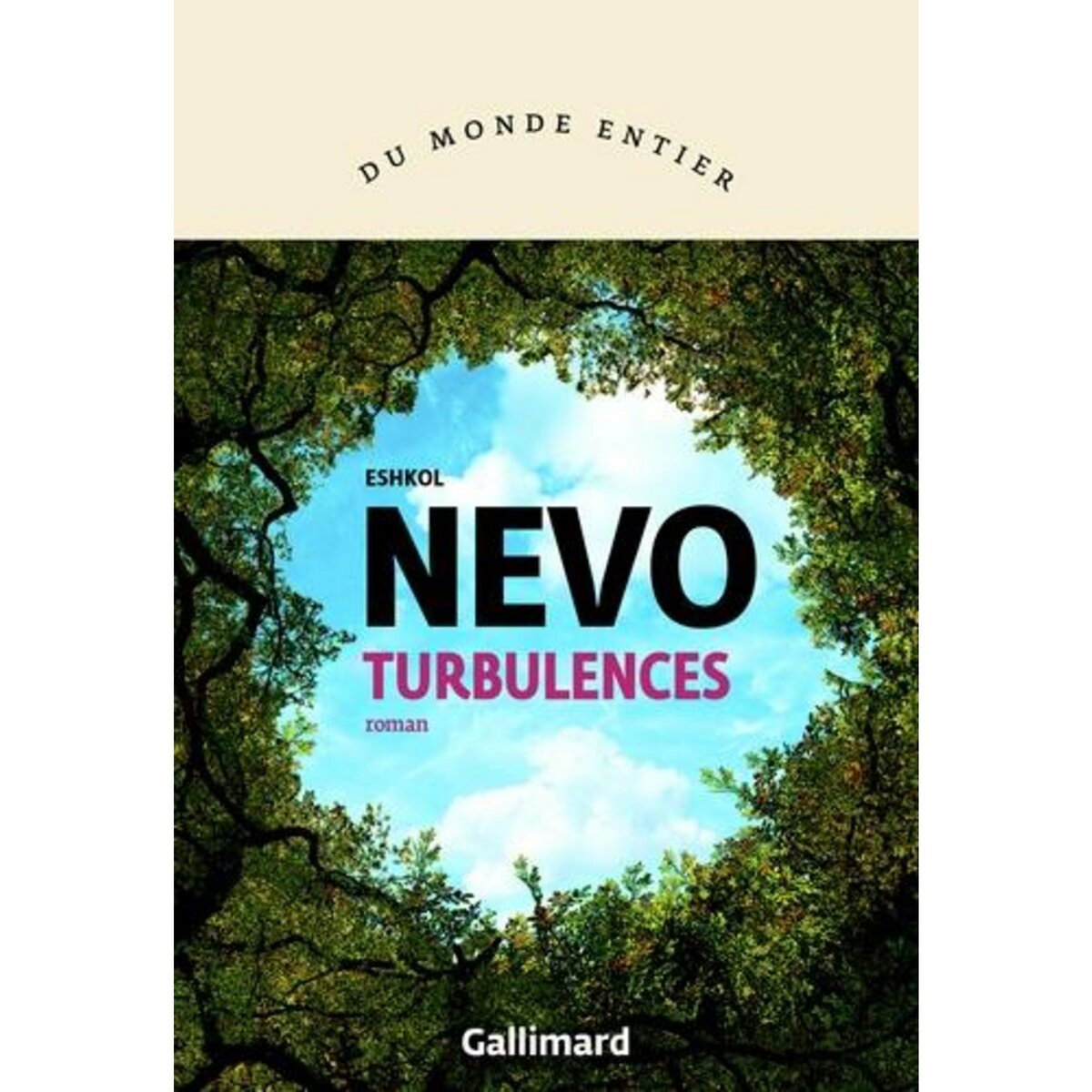 TURBULENCES, Nevo Eshkol