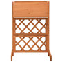Voir la diapositive 2 : VIDAXL Jardiniere a treillis de jardin Orange 45x30x74cm Bois de sapin