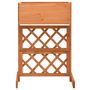 Voir la diapositive 2 : VIDAXL Jardiniere a treillis de jardin Orange 45x30x74cm Bois de sapin