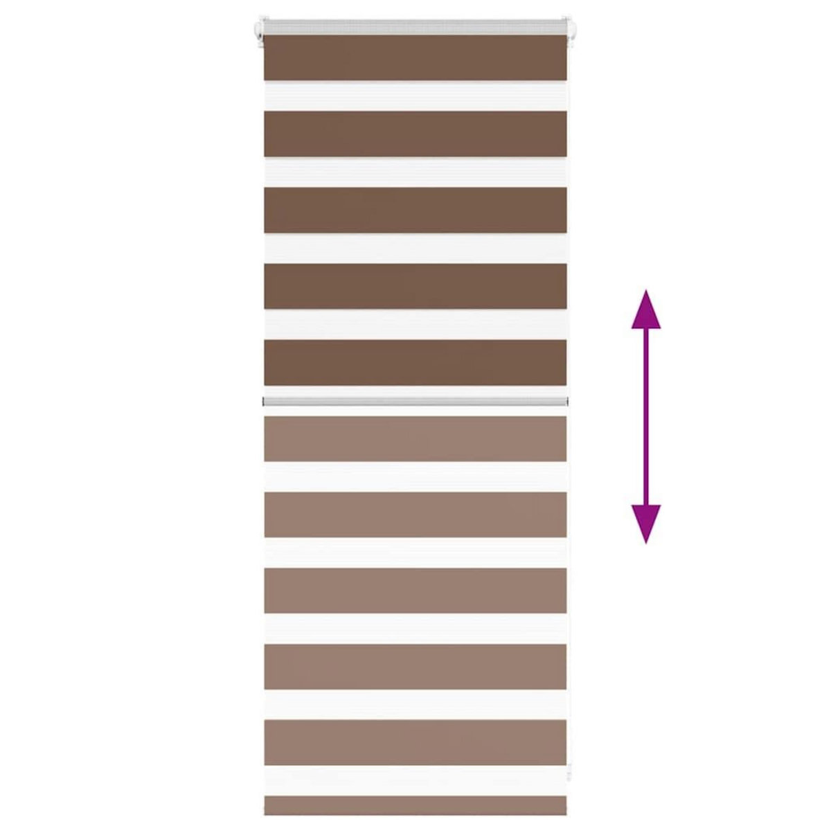 VIDAXL Store zebre marron 65x100 cm largeur du tissu 60,9 cm polyester