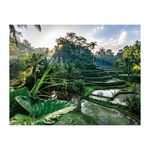 RAVENSBURGER Puzzle 2000 pieces Au coeur de Bali, Adultes et enfants des 14 ans, Collection Évasion, 12001518, Nathan
