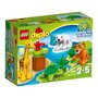 LEGO Duplo Town 10801 - Les bébés animaux du monde