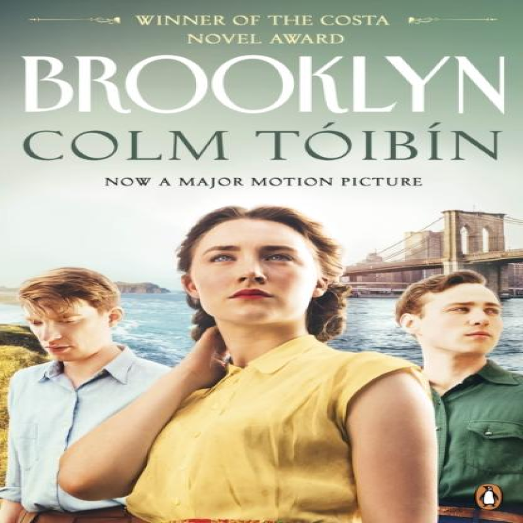 LIVRES Brooklyn - Colm TÃ³ibÃ­n