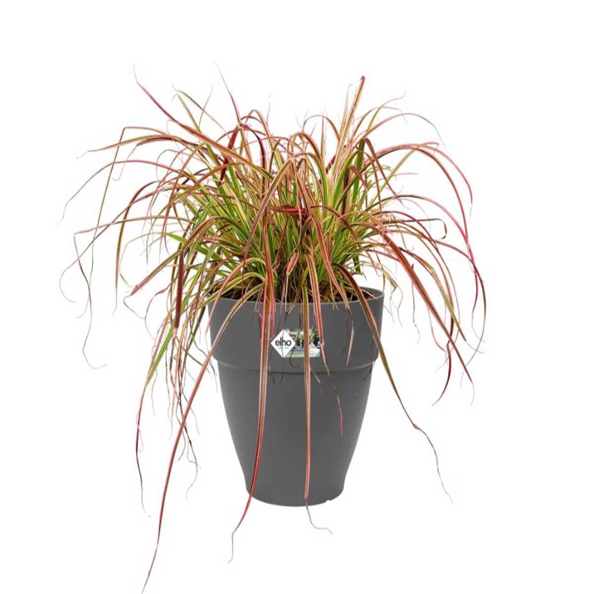 Voir la diapositive 3 : ELHO Pot de fleurs rond Vibia Campana - Ø 40 x H.33 cm - Anthracite - Elho