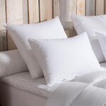 DODO Oreiller 90% Duvet d'Oie MEDIUM. Coloris disponibles : Blanc