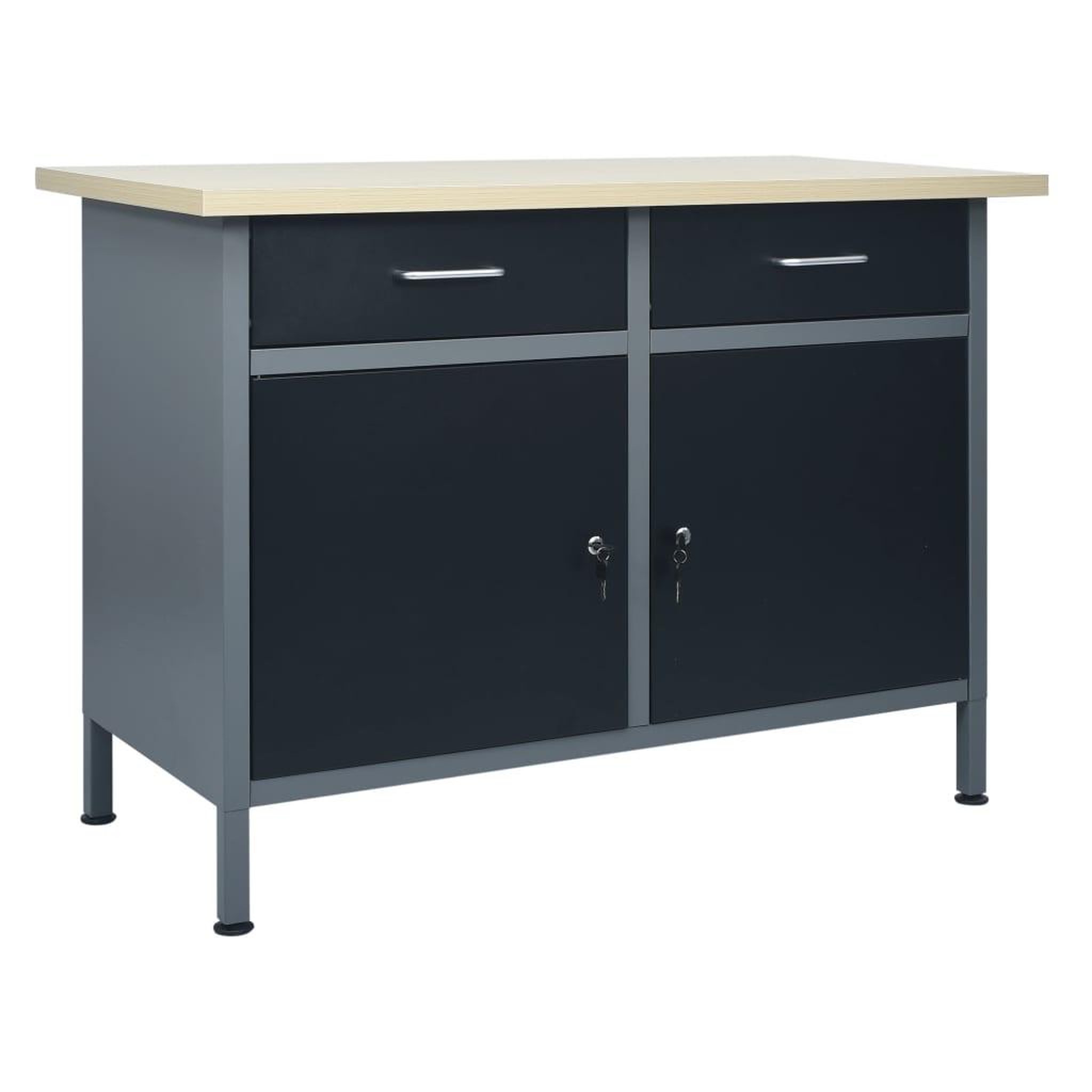 VIDAXL Etabli Noir 120x60x85 cm Acier