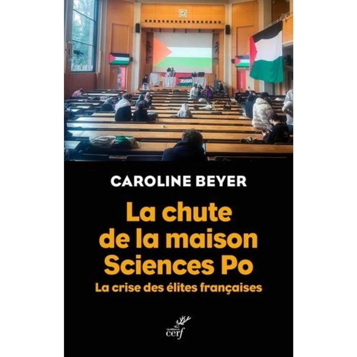 LA CHUTE DE LA MAISON SCIENCE PO. LA CRISE DES ELITES FRANCAISES, Beyer Caroline