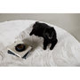 Voir la diapositive 4 : Paris Prix Tapis Rond Design  Nina  200cm Blanc