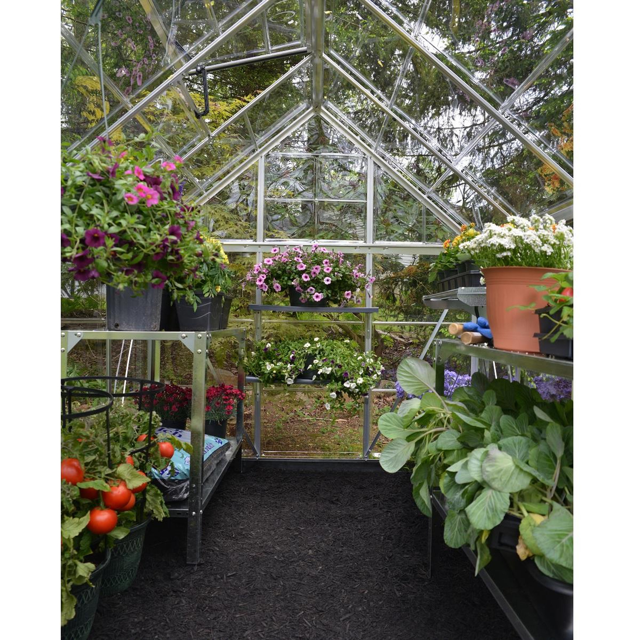 Voir la diapositive 4 : Canopia by PALRAM Serre de jardin - Polycarbonate - 4,6m² - HARMONY
