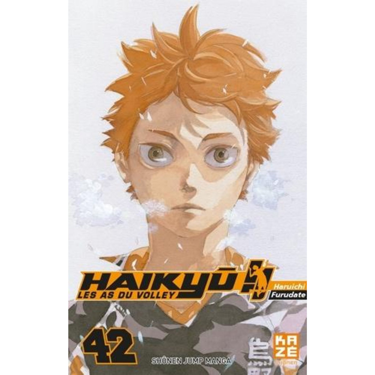 HAIKYU !! LES AS DU VOLLEY TOME 42 : QUE DEVIENDREZ-VOUS ?, Furudate Haruichi