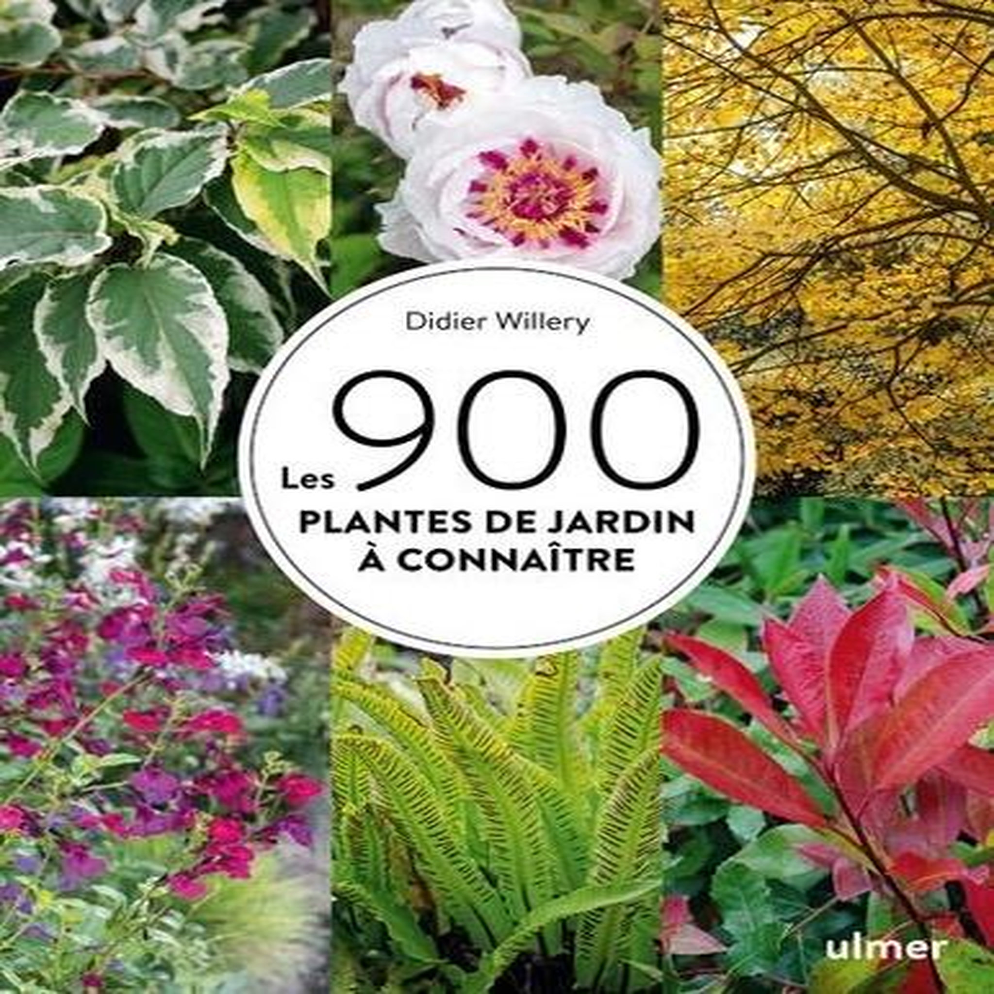LES 900 PLANTES DE JARDIN A CONNAITRE, Willery Didier