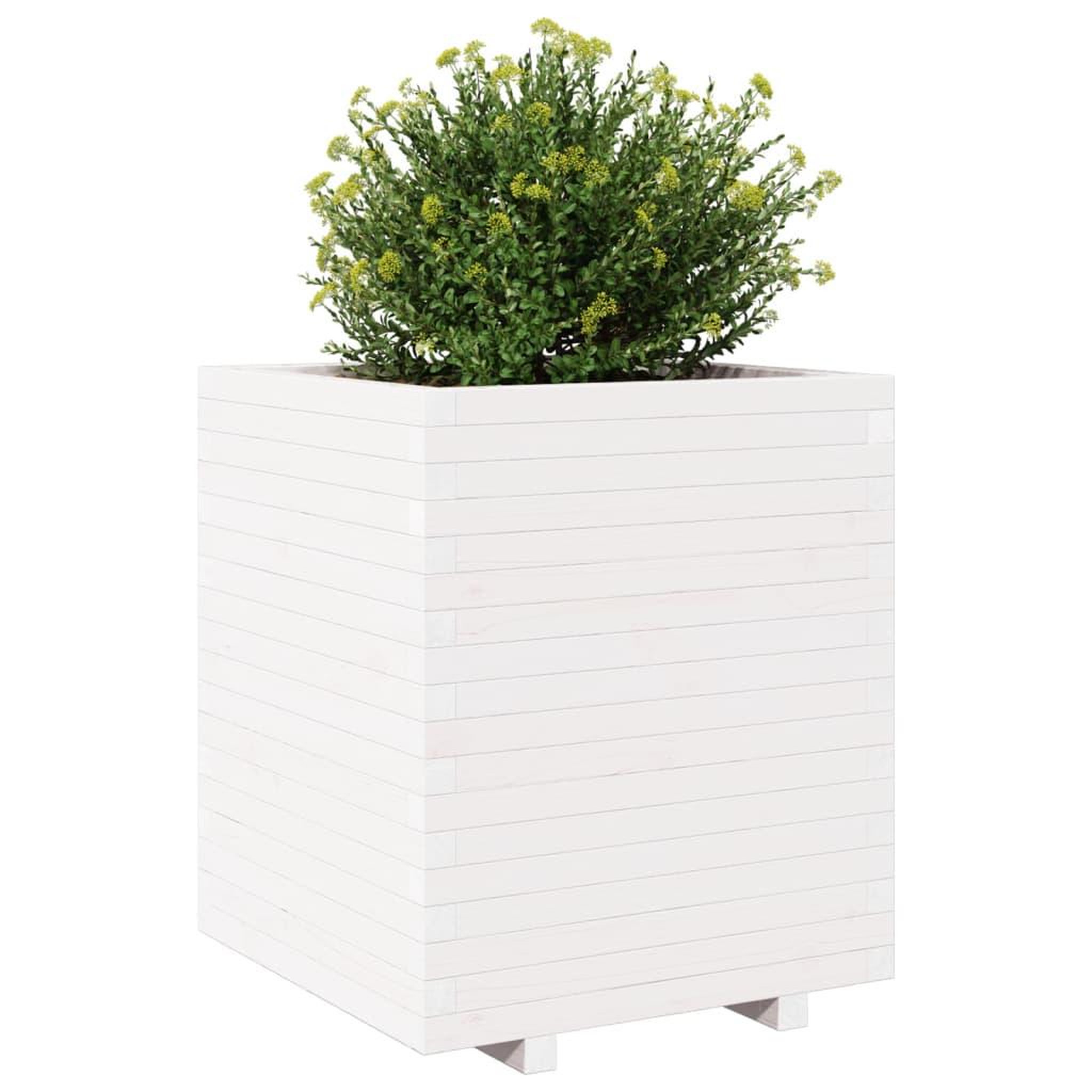 Voir la diapositive 4 : VIDAXL Jardiniere blanc 60x60x72,5 cm bois de pin massif