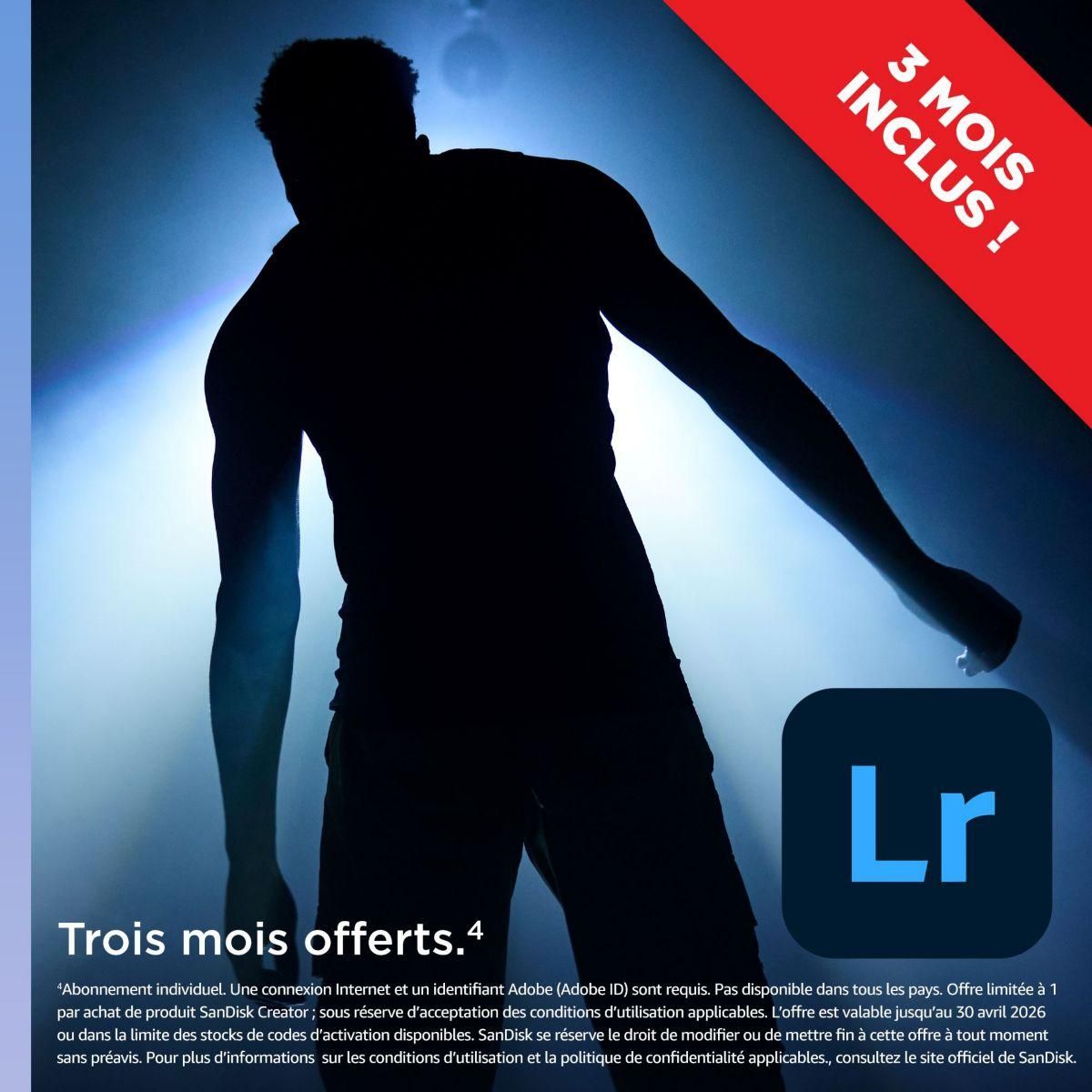 SANDISK Carte Micro SD 256Go Creator