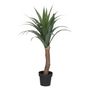 Voir la diapositive 1 : ATMOSPHERA Plante Artificielle Palmier  Yucca  110cm Vert & Noir
