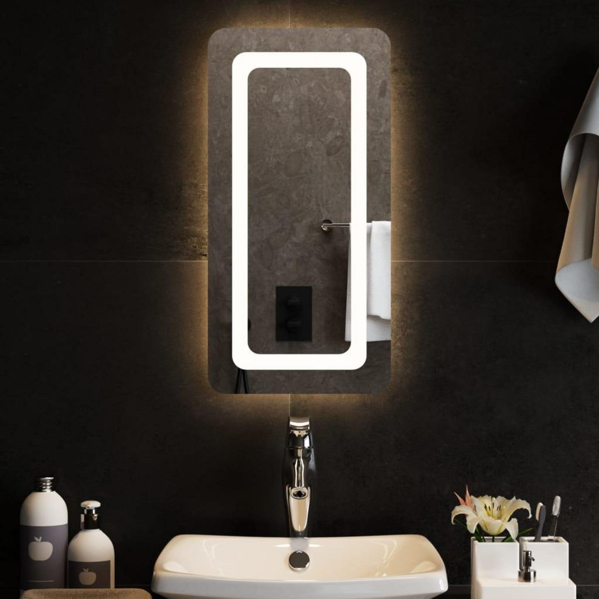 VIDAXL Miroir de salle de bain a LED 30x60 cm