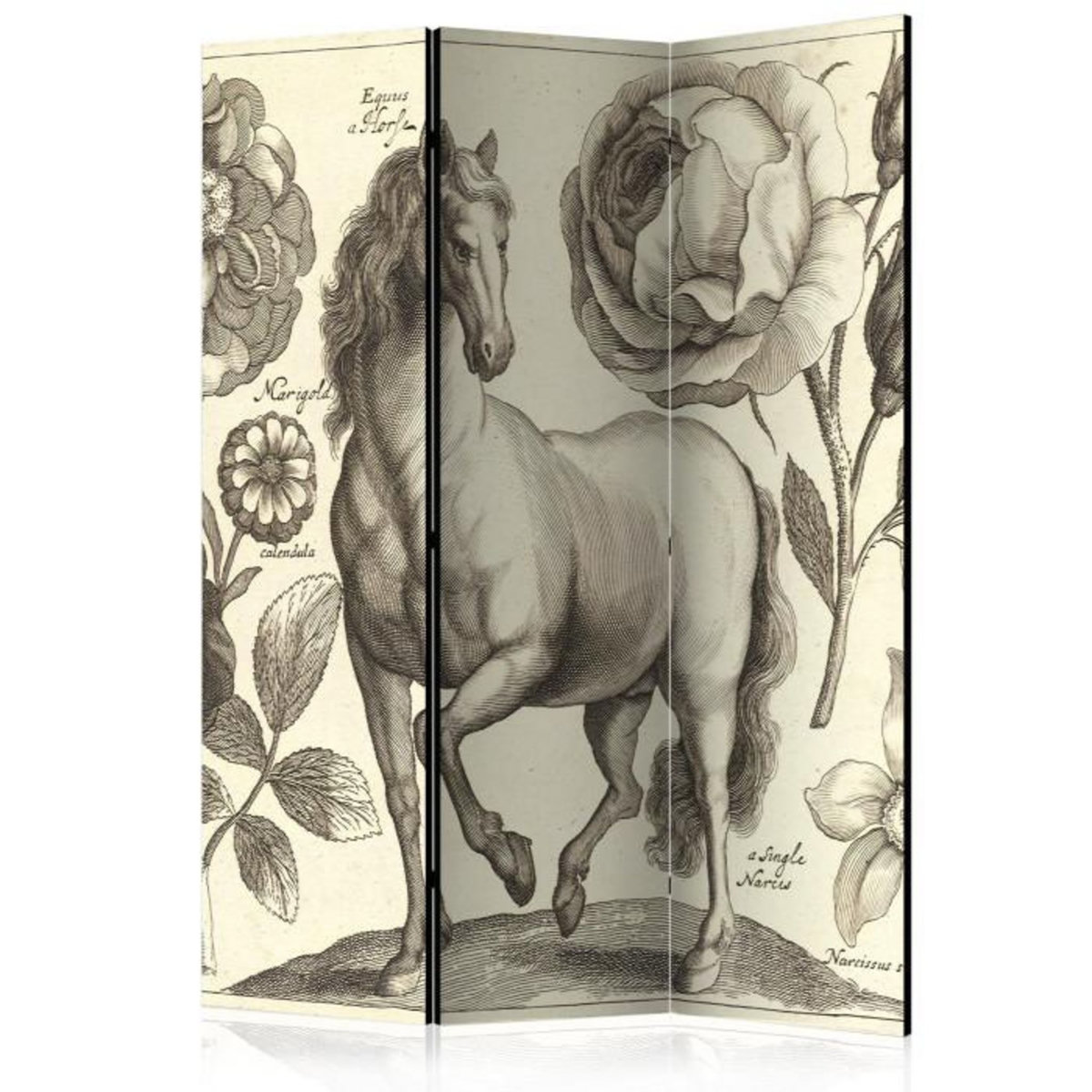 Paris Prix Paravent 3 Volets  Horse  135x172cm