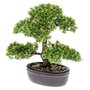 EMERALD Emerald Mini bonsaï Ficus artificiel Vert 32 cm 420002