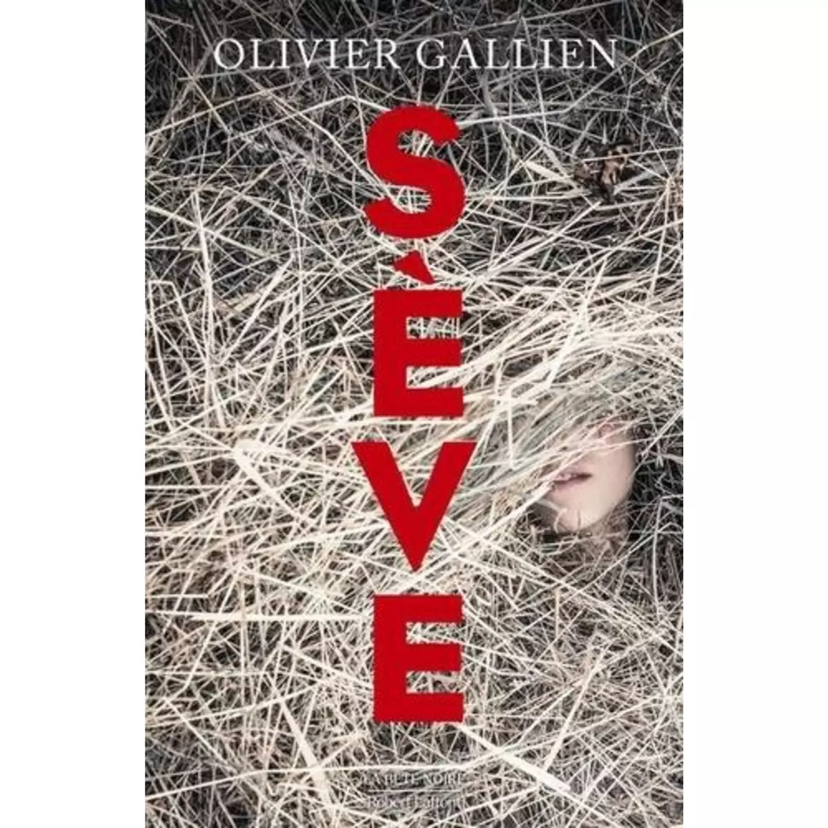  SEVE, Gallien Olivier
