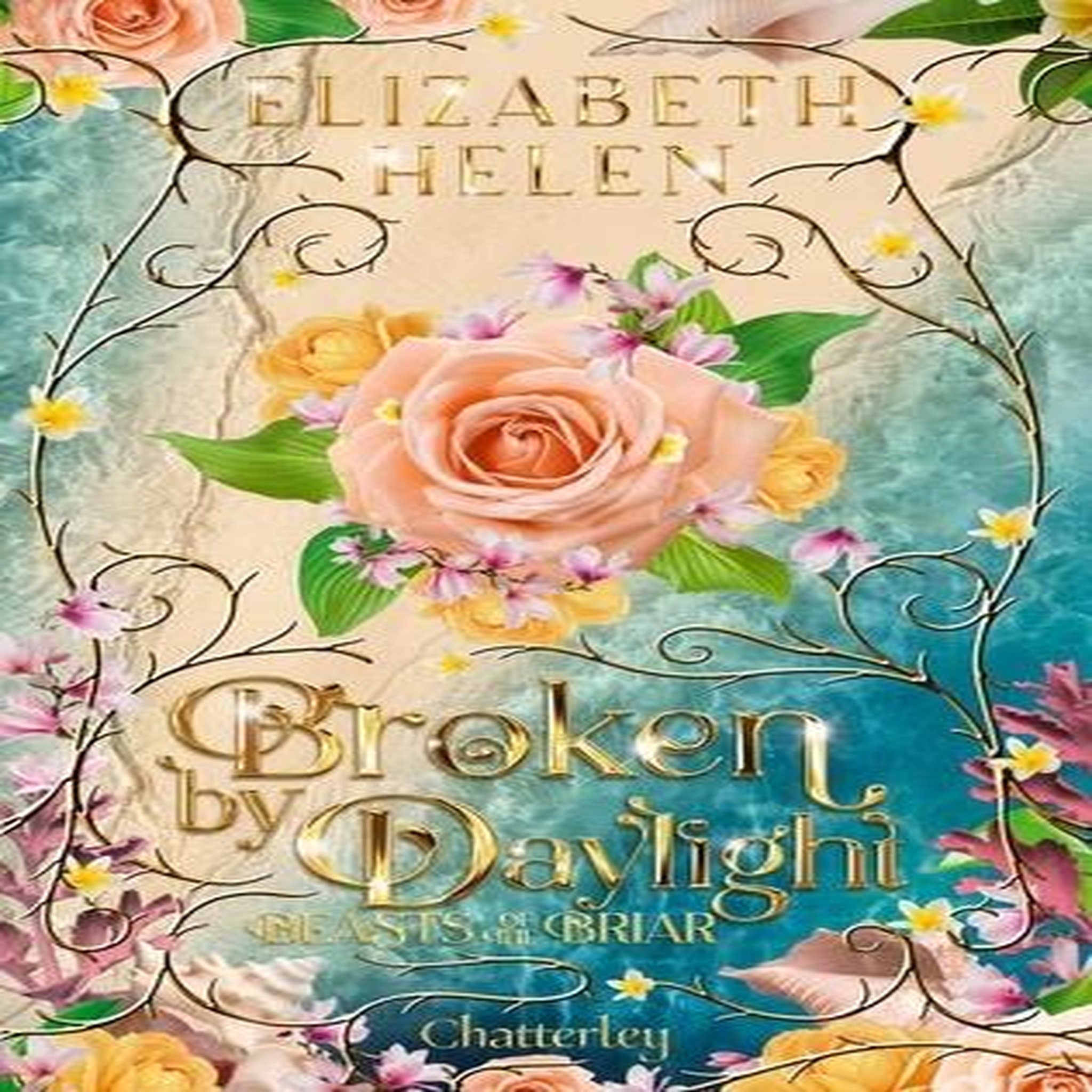 BEASTS OF THE BRIAR TOME 4 : BROKEN BY DAYLIGHT, Helen Elizabeth