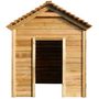 Voir la diapositive 2 : VIDAXL Maisonnette d extérieur 120x120x146 cm Bois de pin