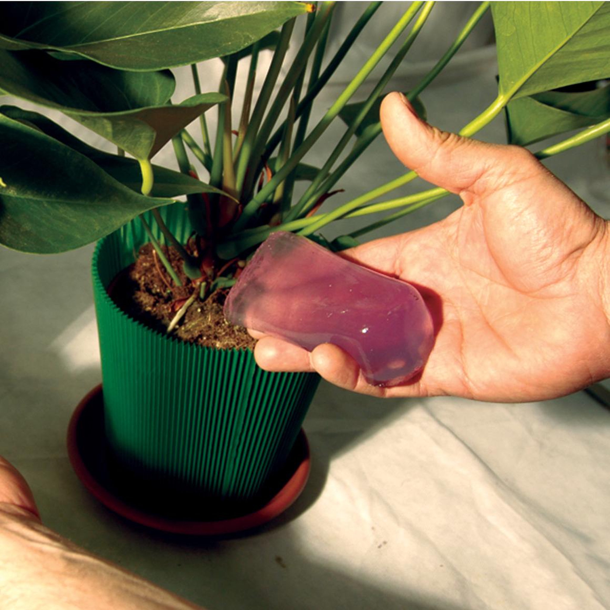 Voir la diapositive 4 : Jardibric Gel d'arrosage pour plantes et fleurs 400 ml