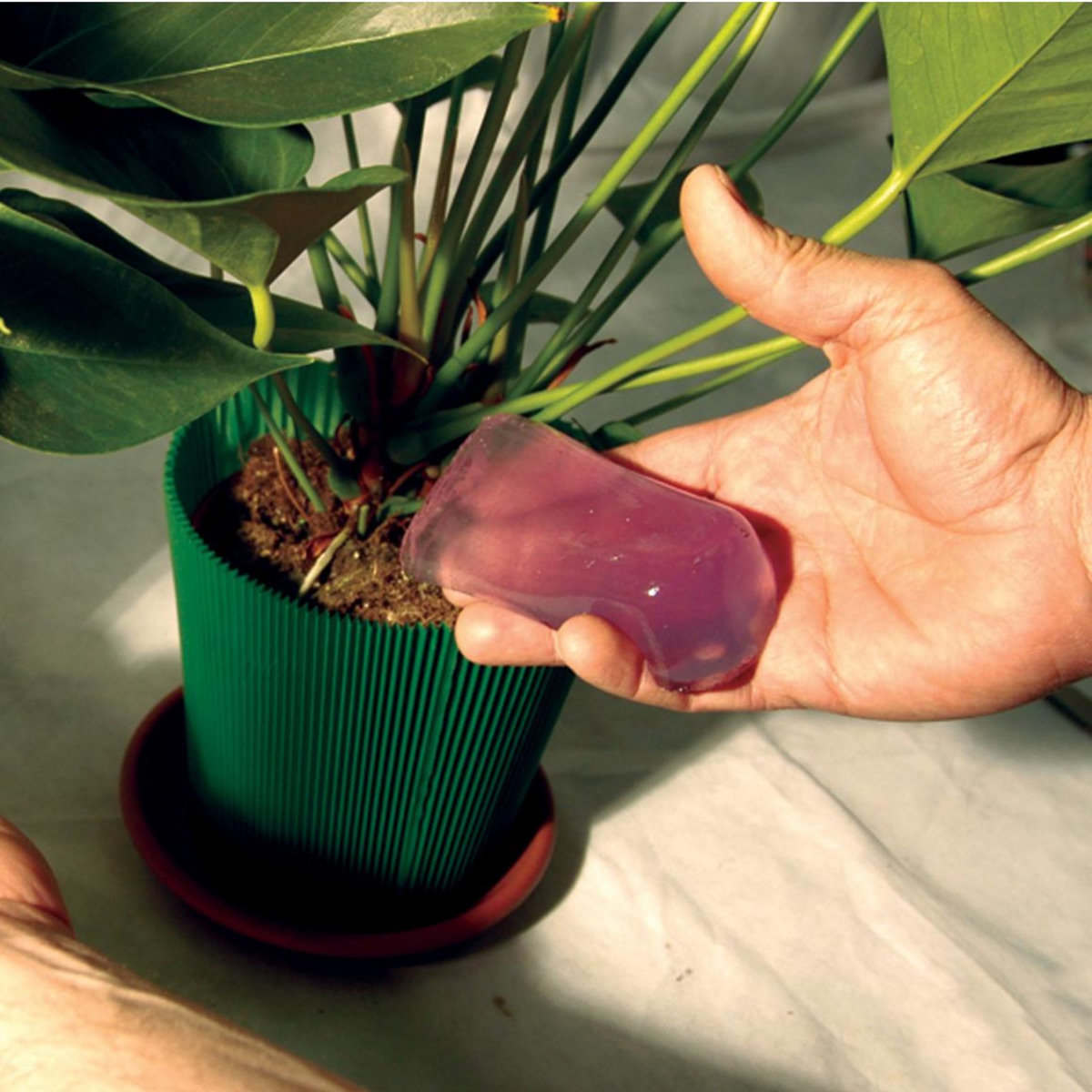 Jardibric Gel d'arrosage pour plantes et fleurs 400 ml