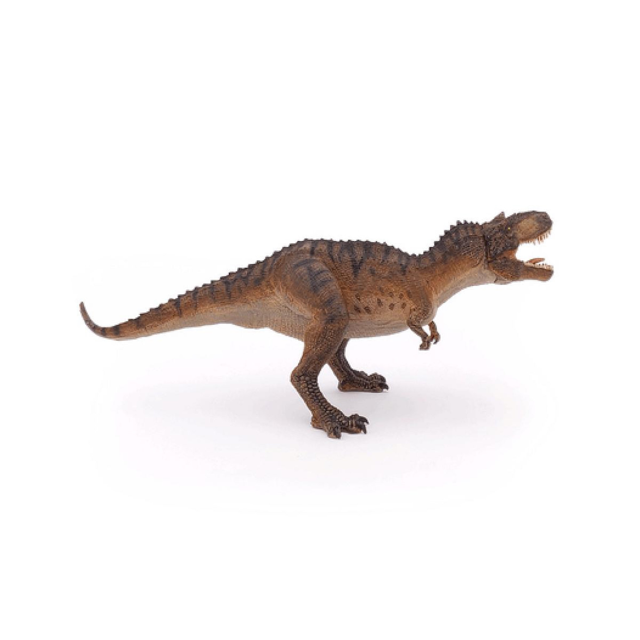 Voir la diapositive 5 : Papo 55074 - Dino  Gorgosaurus