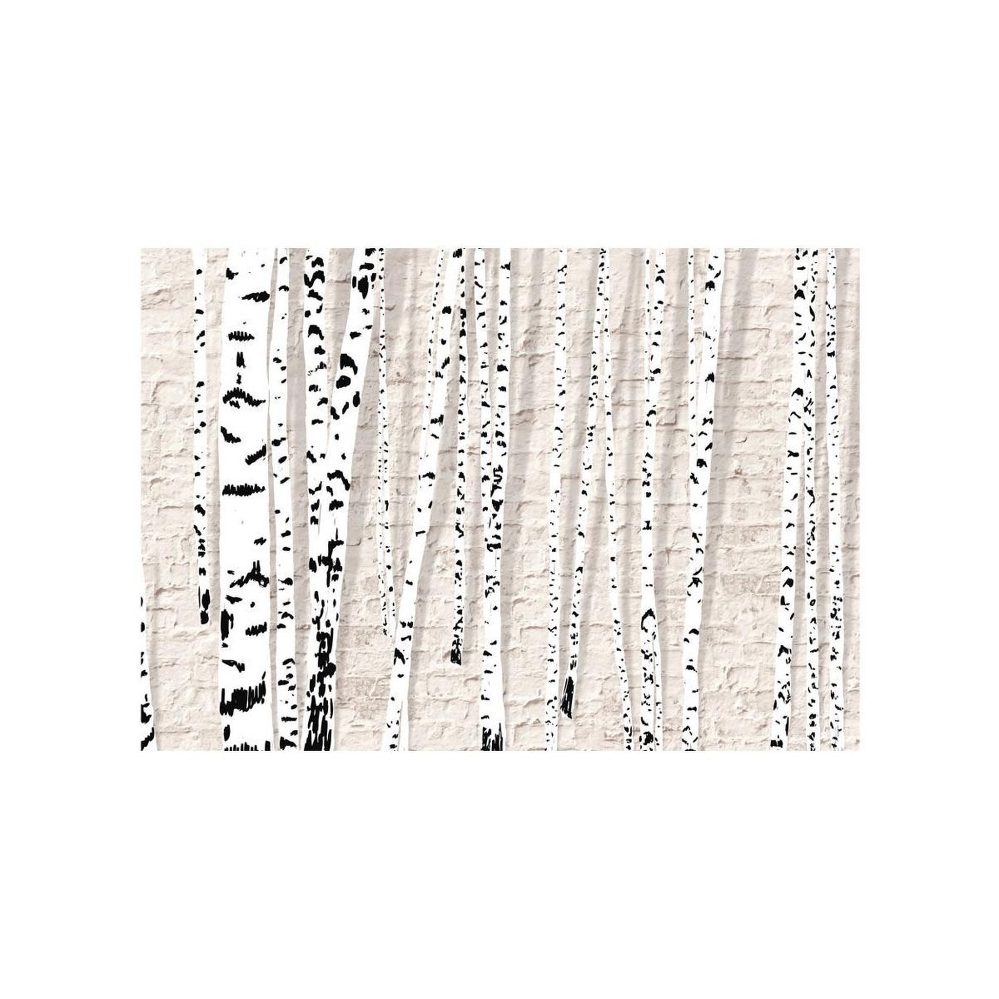 Voir la diapositive 2 : Paris Prix Papier peint  birchen grove