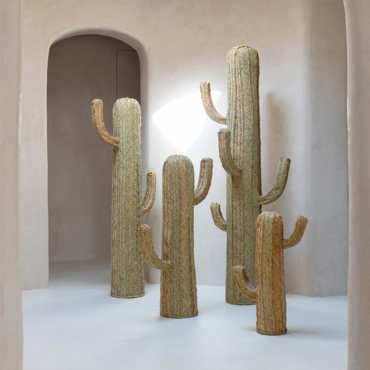 Paris Prix Cactus Déco Herbe  Afrique  145cm Naturel