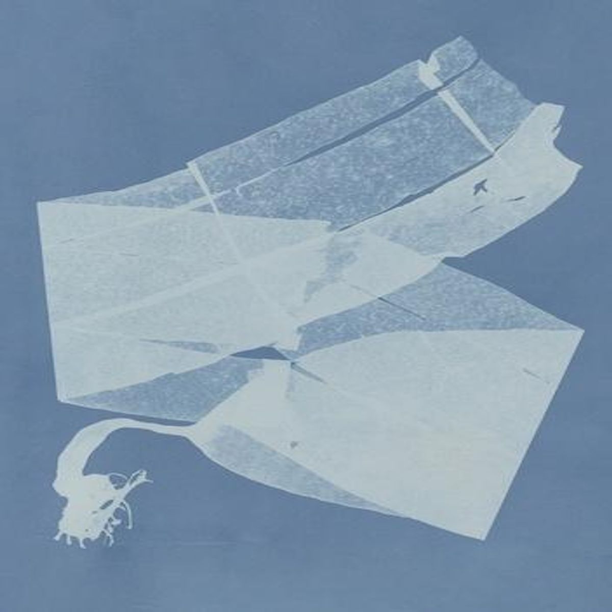 CARNET – HERBIER DES MERS, Atkins Anna