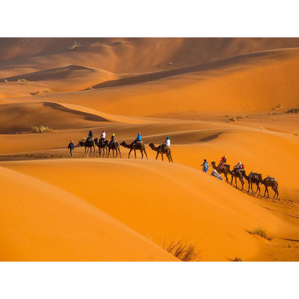 Smartbox 3 jours en riad avec hammam et excursion en dromadaire dans la Palmeraie de Marrakech - Coffret Cadeau Séjour