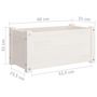 Voir la diapositive 6 : VIDAXL Jardinieres d'exterieur 2 pcs Blanc 60x31x31 cm Bois de pin