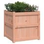 Voir la diapositive 4 : VIDAXL Jardinieres 2 pcs bois massif douglas