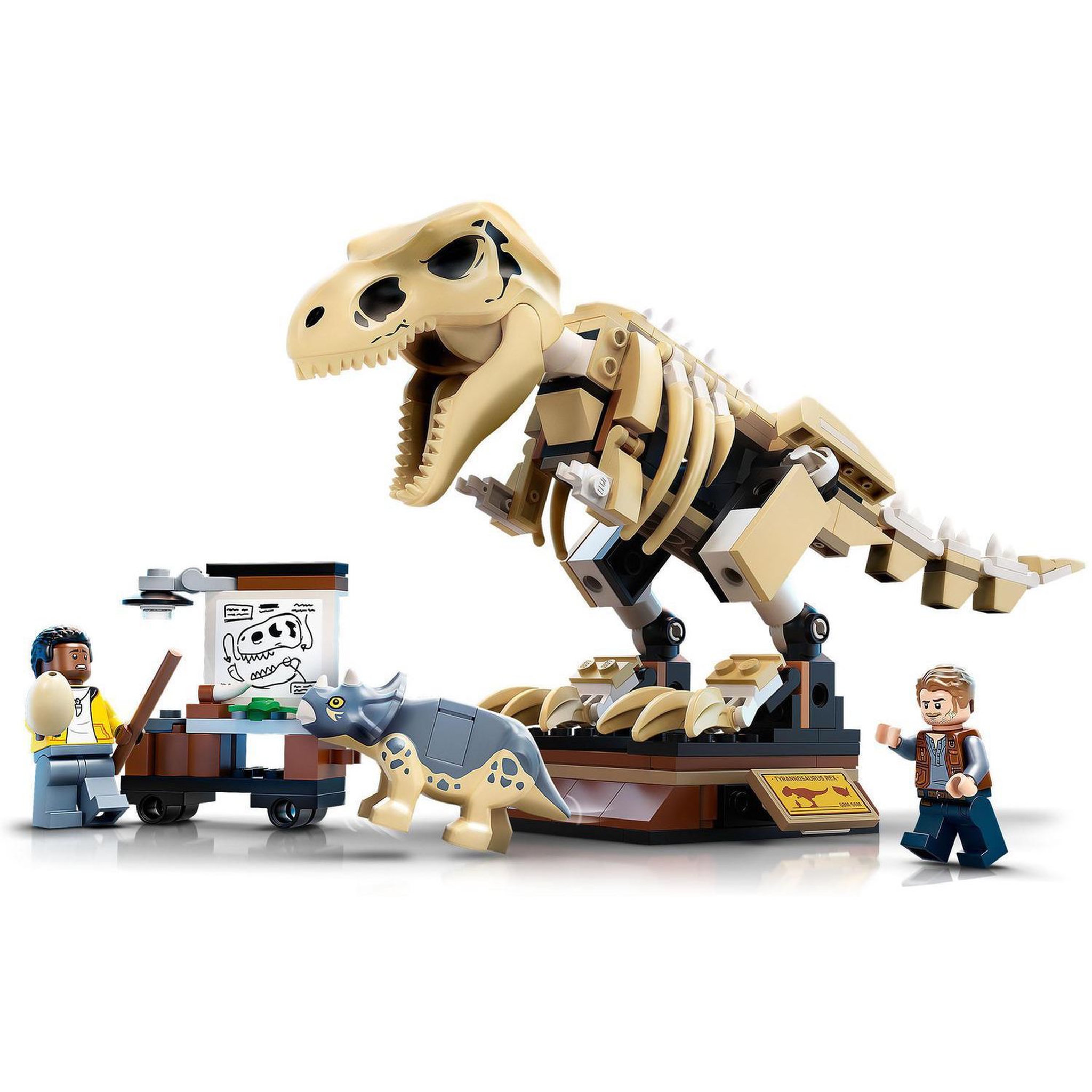 Voir la diapositive 3 : LEGO Jurassic World 76940 L&rsquo;Exposition du Fossile du T. Rex