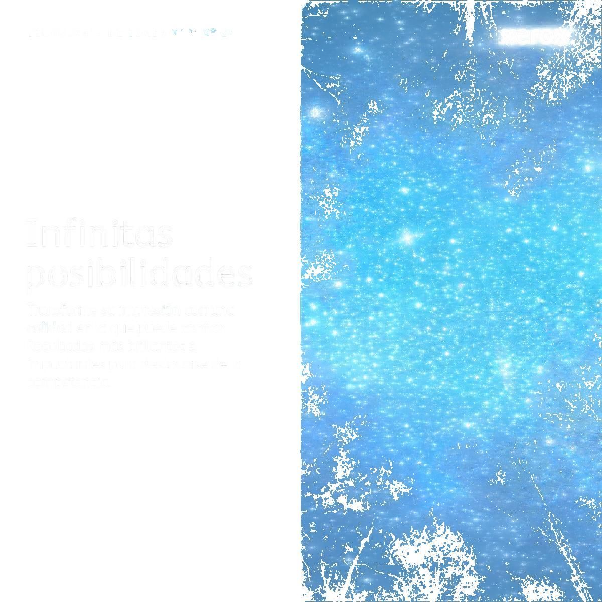 Xerox Toner Original Xerox 006R04395 Noir