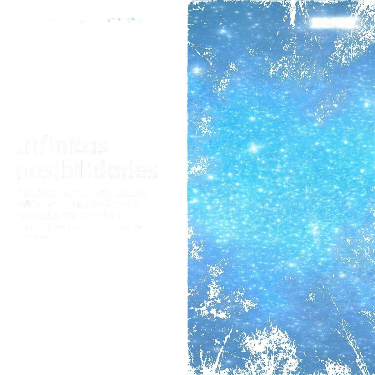 Xerox Toner Original Xerox 006R04395 Noir