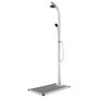 Voir la diapositive 1 : VIDAXL Douche de jardin avec base gris 220 cm Aluminium