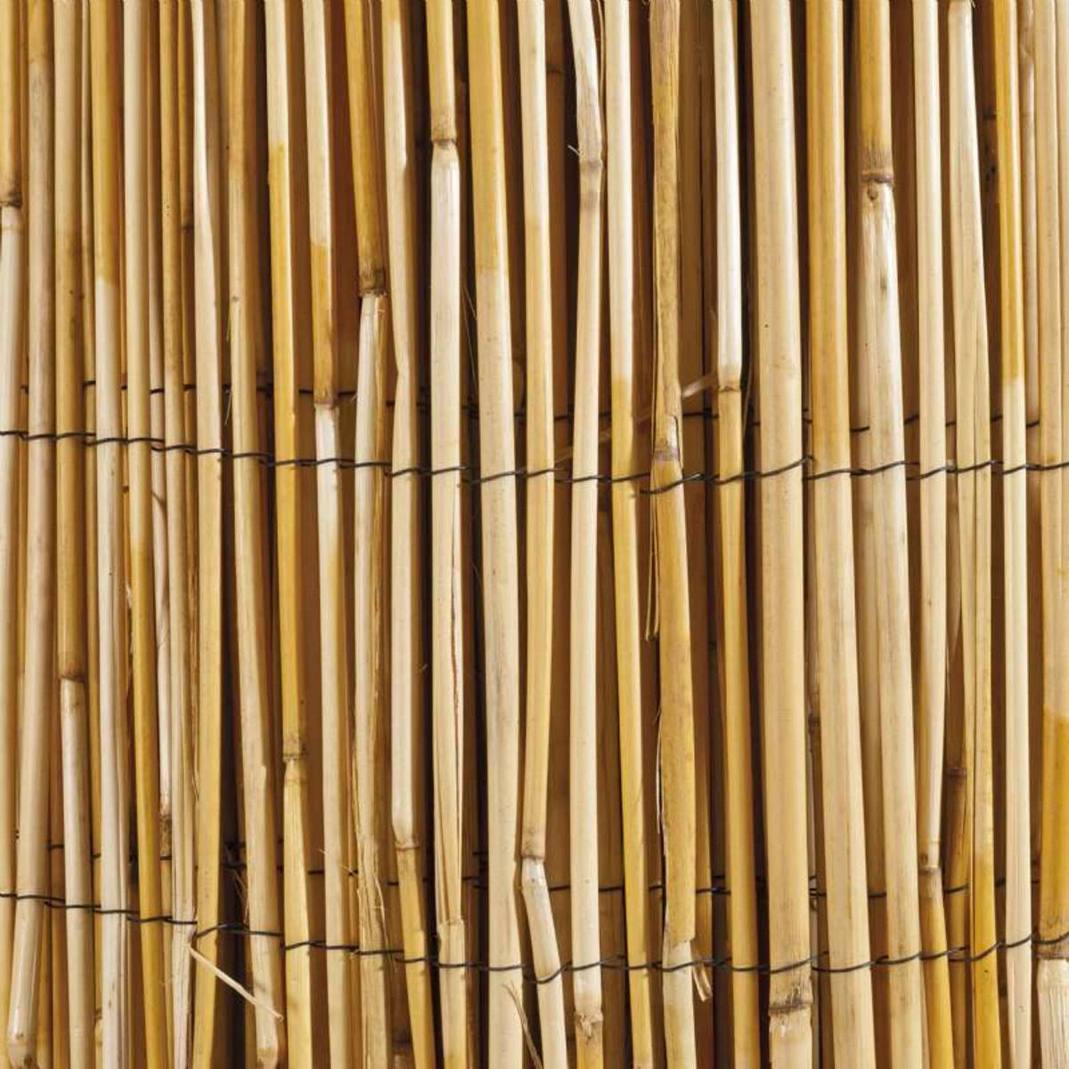 Windhager Canisse roseau naturel 1.5x5m