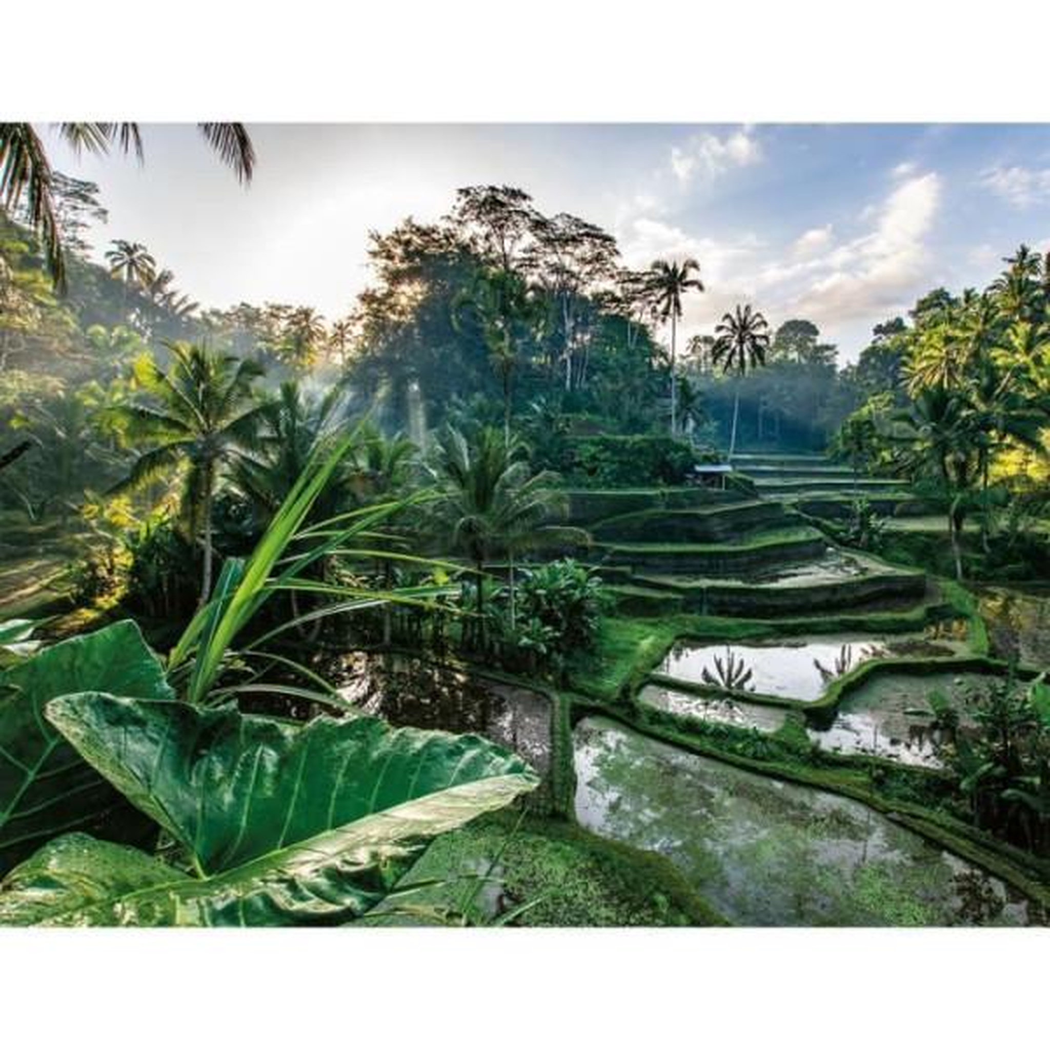 RAVENSBURGER Puzzle 2000 pieces au coeur de bali, adultes et enfants des 14 ans, collection évasion, 12001518, nathan